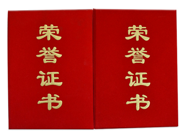 日韩h在线榮譽證書